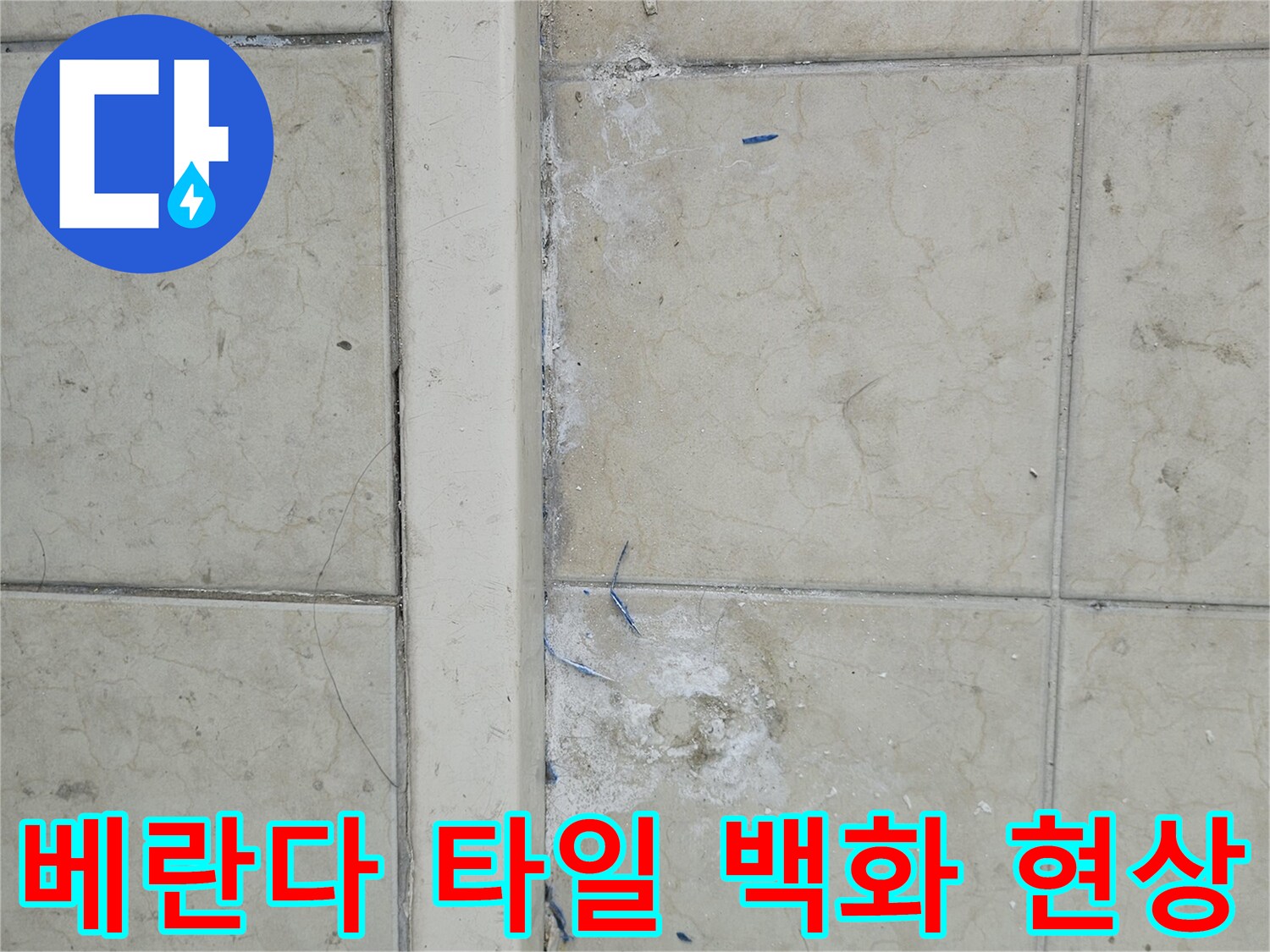 양주 아파트 베란다 타일 사이의 하얀 백화 현상과 균열 상태