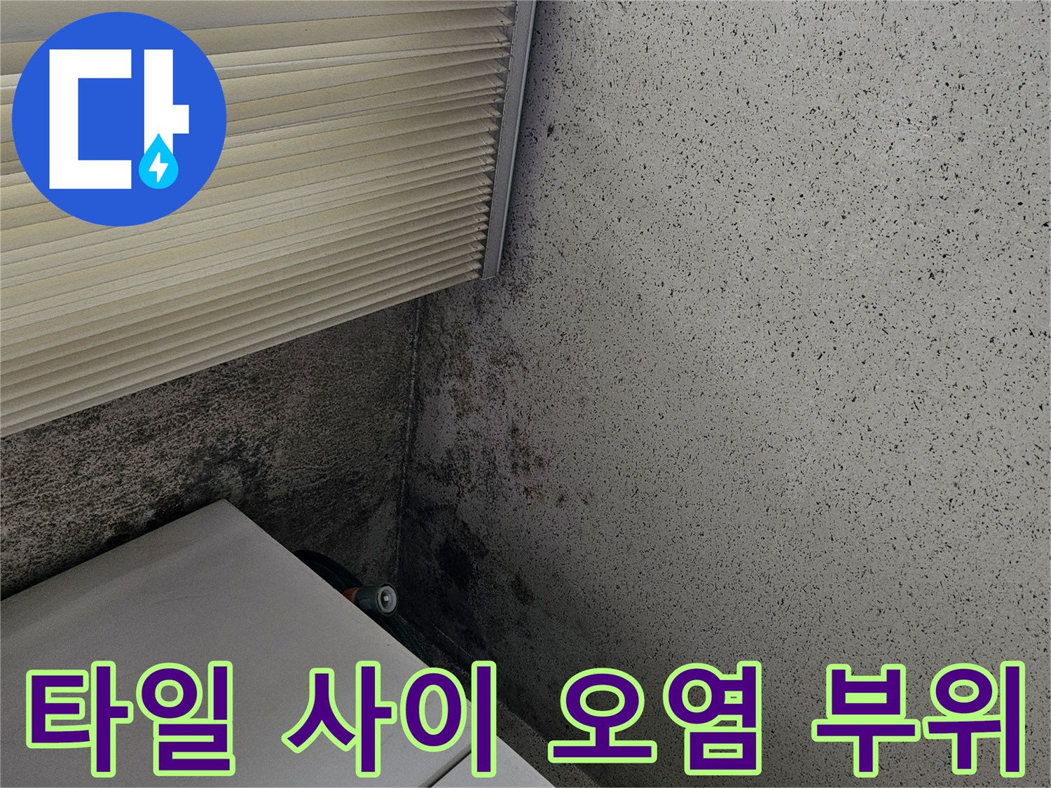 양주 현장 점검 - 타일 줄눈 사이의 습기 및 오염된 상태
