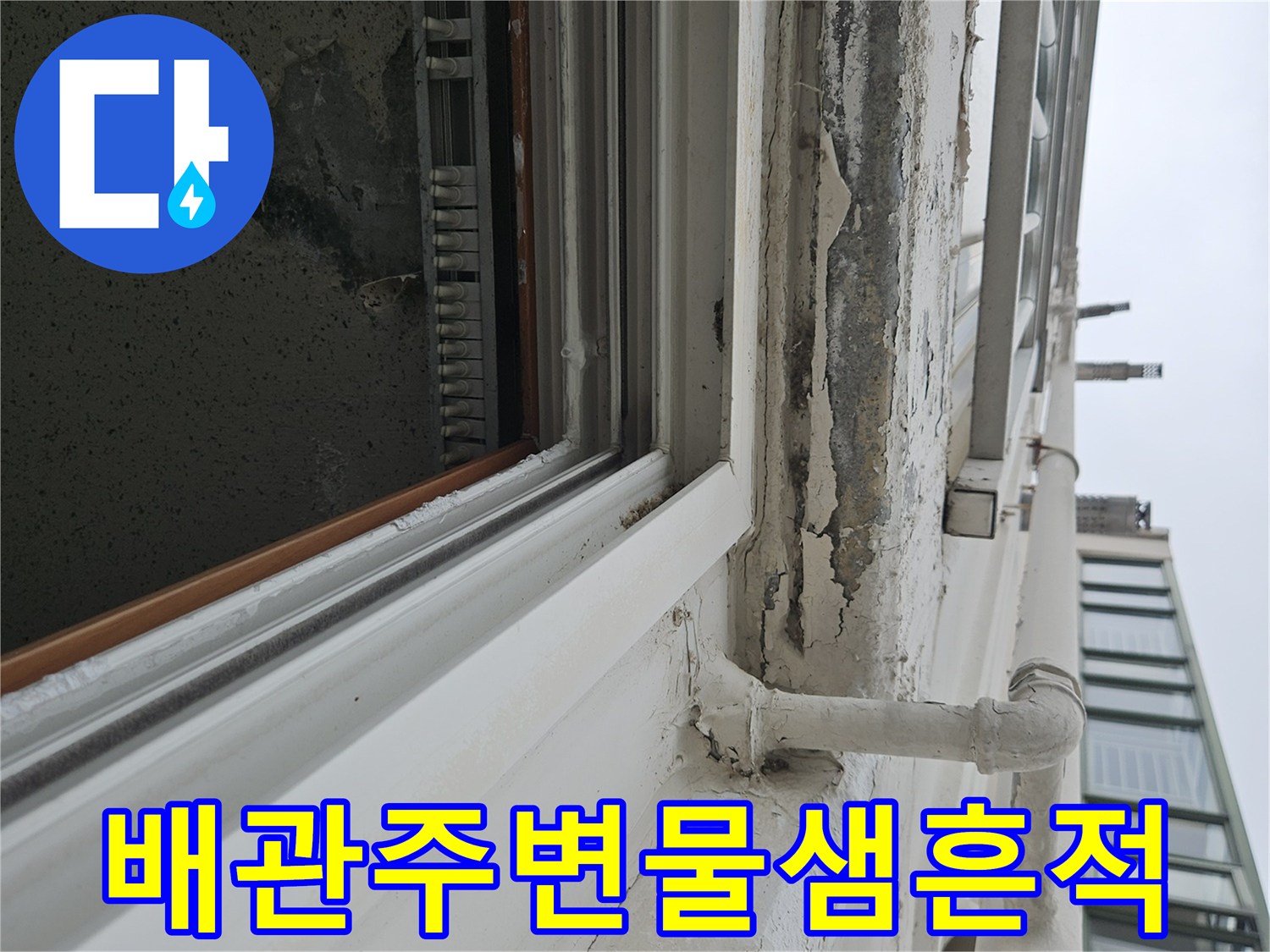 천장 배관 연결부 근처의 젖은 얼룩과 도색 탈락