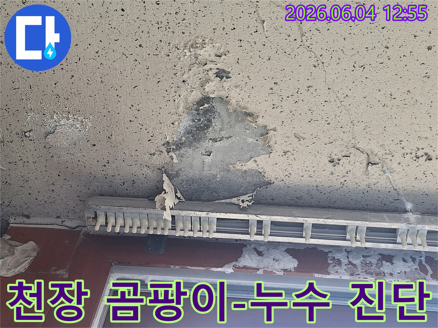 천장에 발생한 곰팡이와-페인트 벗겨짐으로 인한-누수 진단 현장