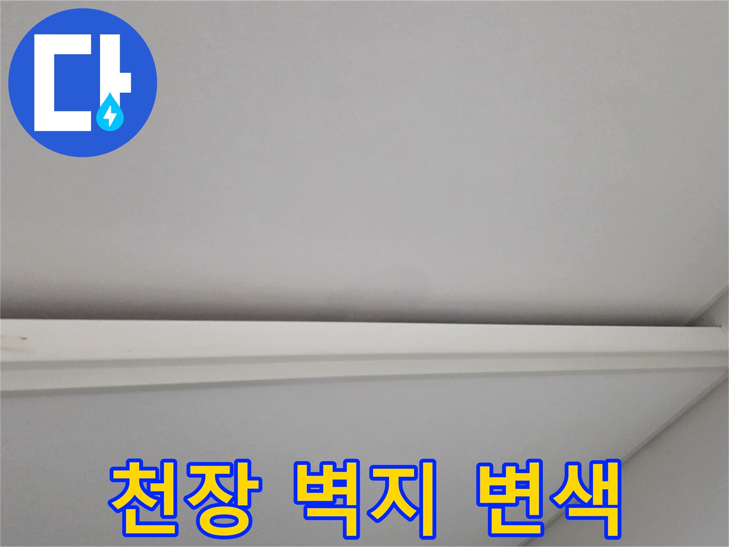 일산서구 아파트-천장 벽지 변색 현상