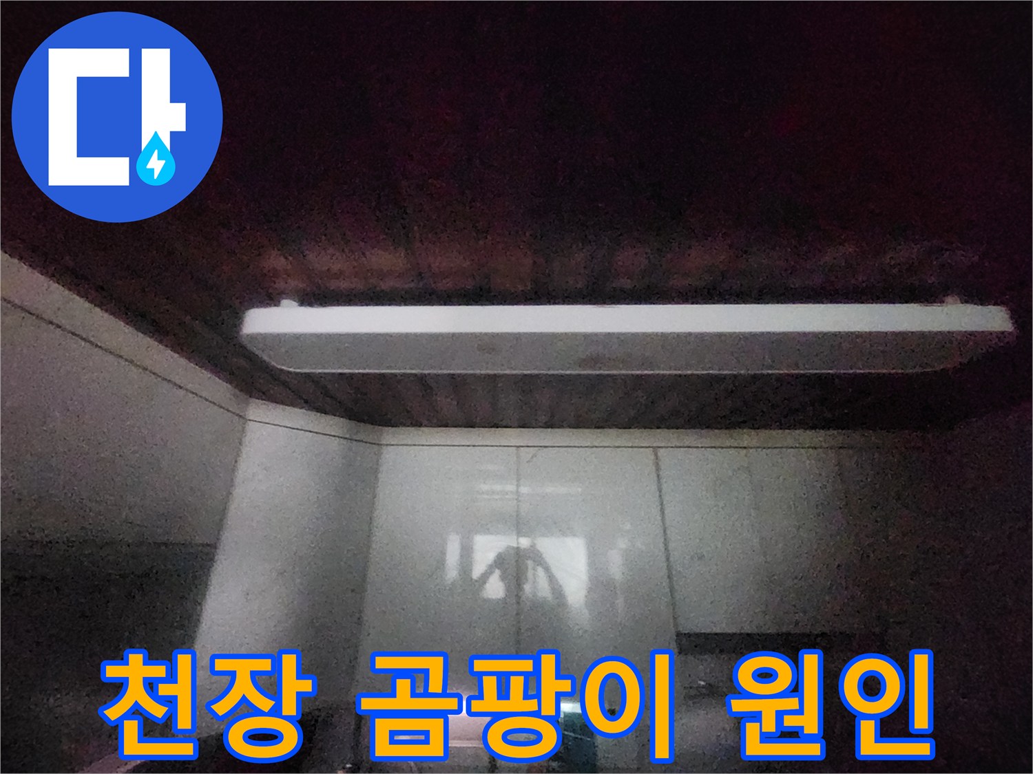 이 이미지는-서울 중구 아파트의-주방 천장에서-발생한-곰팡이와-누수 흔적을-보여줍니다-습기 원인 파악을 위한-전문가의-현장 점검-사진입니다