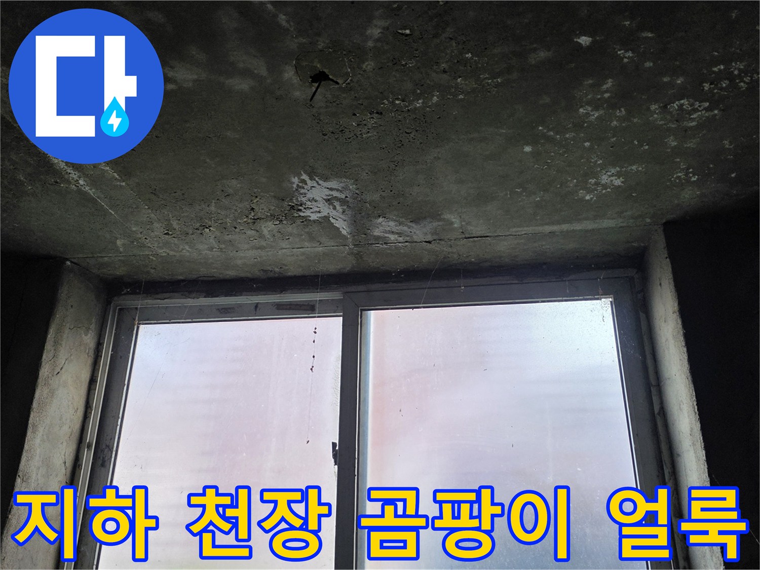 포천-지하-창고-천장-누수-및-습기-상태