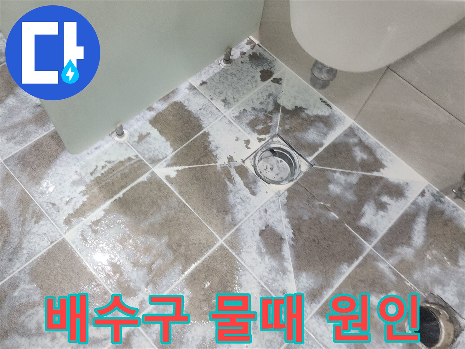 고양시 일산 지역-욕실 배수구 주변에-하얗게 낀 물때를 제거하며-누수 원인을 파악하는-공사 현장 사진