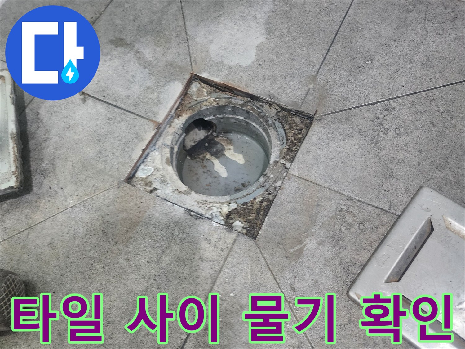 누수 탐지 중-발견된-배수구 주변의-젖은-타일과-오염된-모습