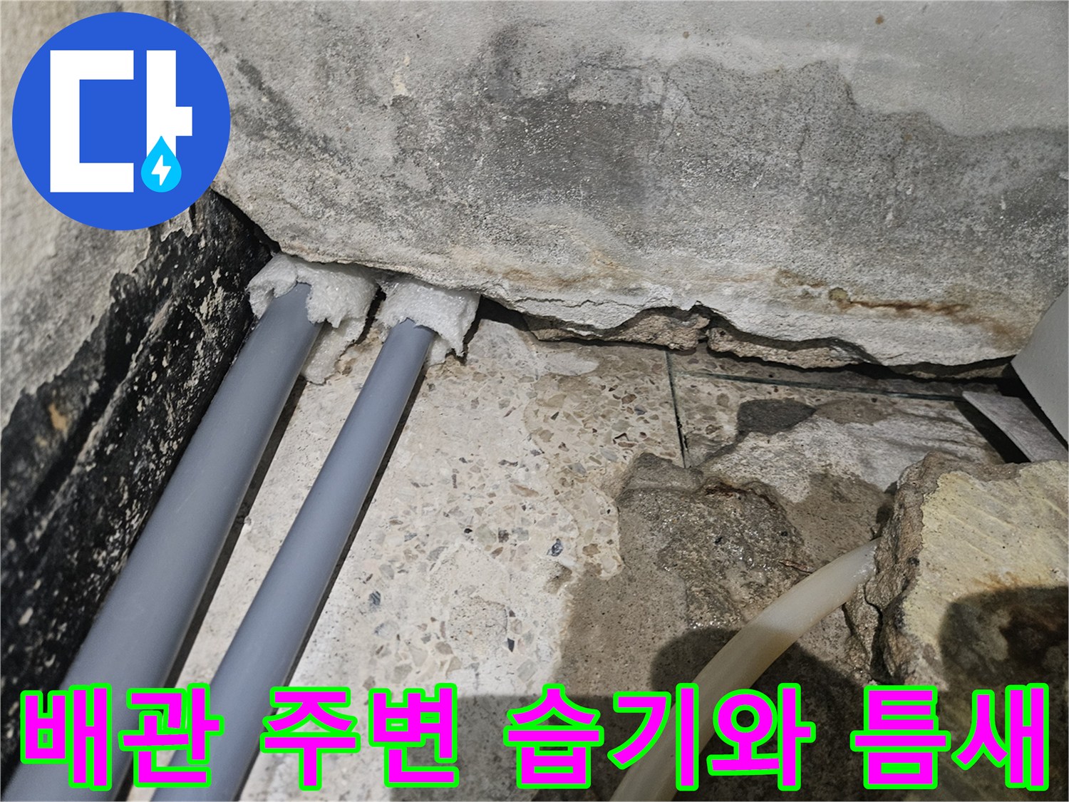 샤워실-배관-연결부위-틈새와-바닥-습기 상태