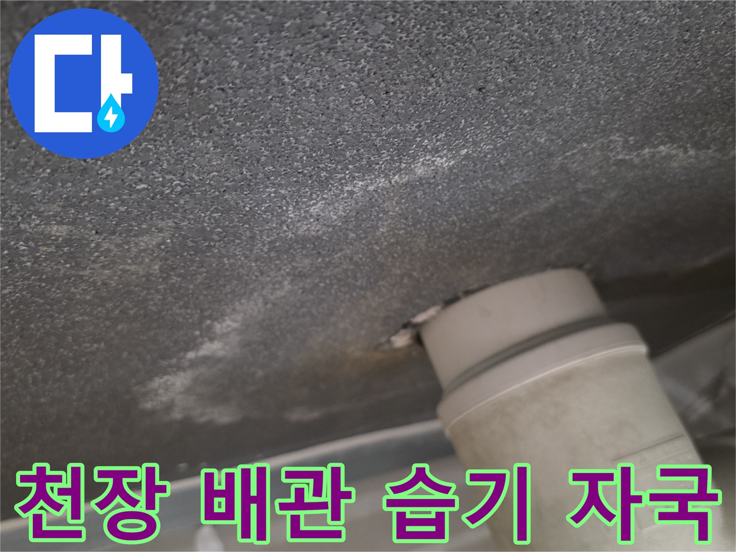 배관-연결부-주변의-습윤한-천장-상태