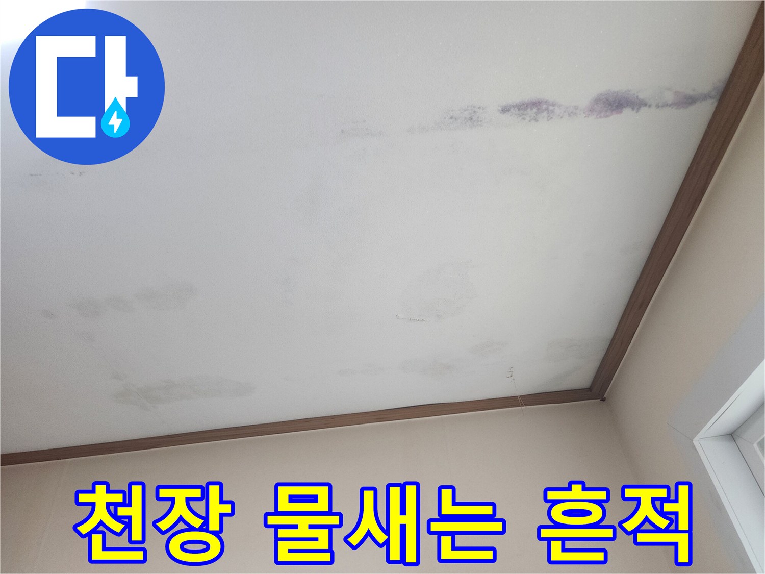 천장에서 물이-새어 나와-얼룩진 모습을-보여주는 사진
