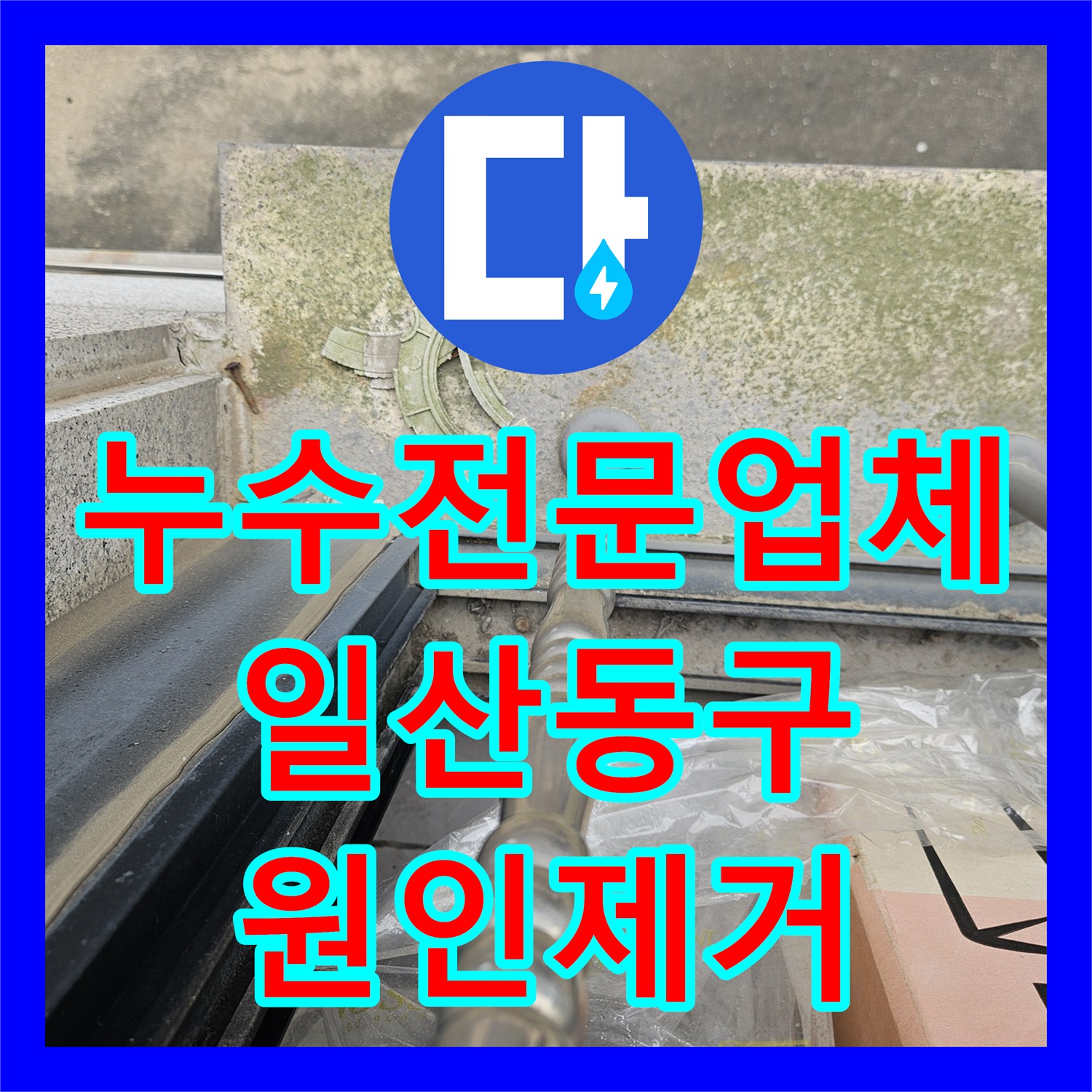 누수전문업체 외부 집수정 역류와 테라스 균열로 인한 내부 침투 해결 고양시 일산동구