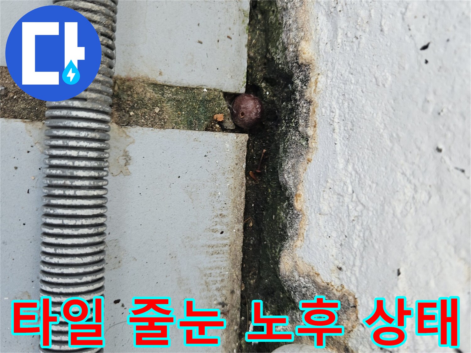 회색 타일과 흰색 벽체 사이의 갈라진 틈새와 이물질