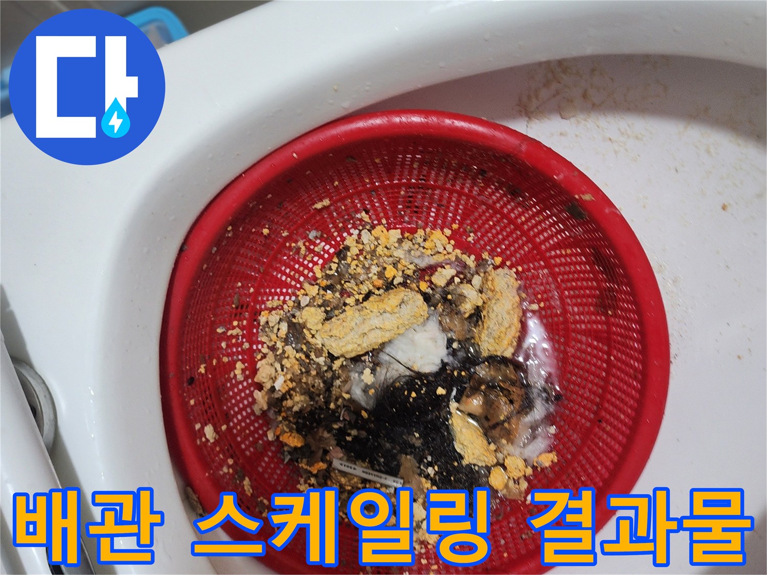 배관 내부에서 추출된 머리카락과 오물 덩어리