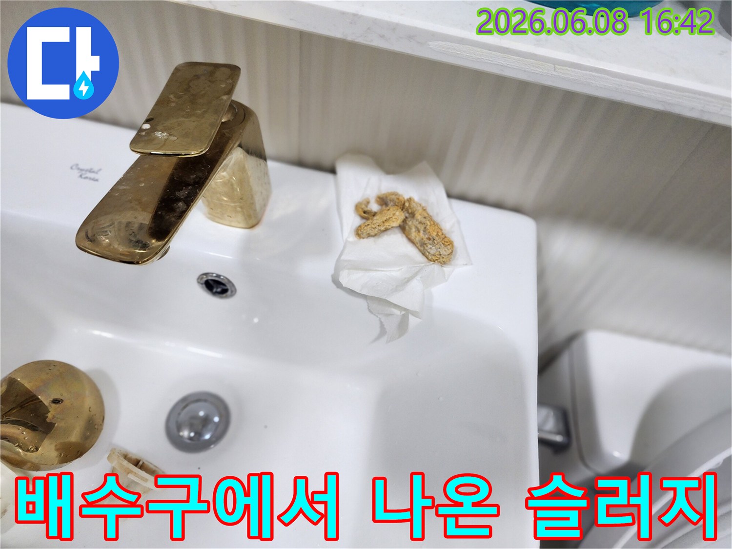 화장실 배수구 근처에서 추출된 덩어리진 슬러지 모습