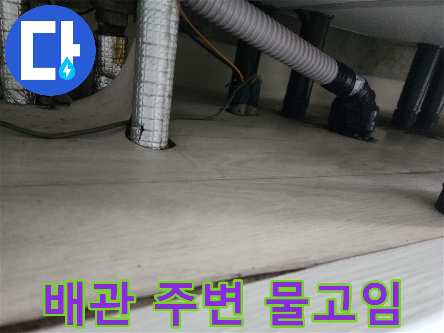 하수구 배관 입구에 고인 잔여물과 수분