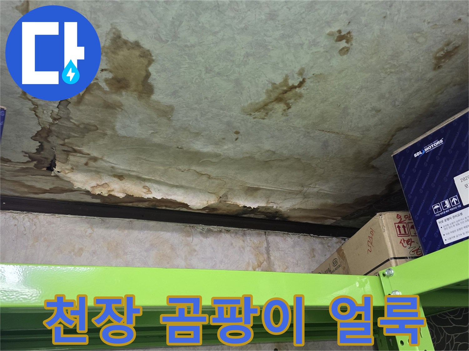 습기로 인해 변색된 천장 마감재와 곰팡이 흔적
