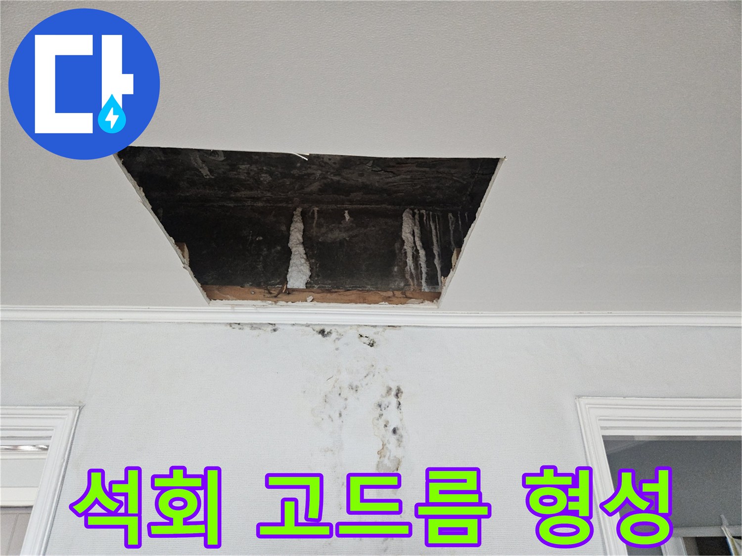 천장 내부 벽면을 타고 흐른 물로 인해 생긴 석회 고드름