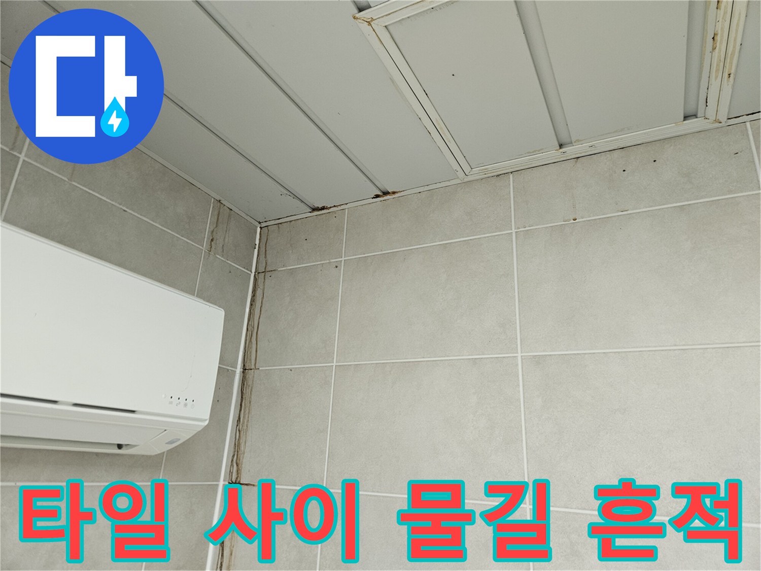 세탁실 타일 줄눈에 형성된 누수 물길 자국