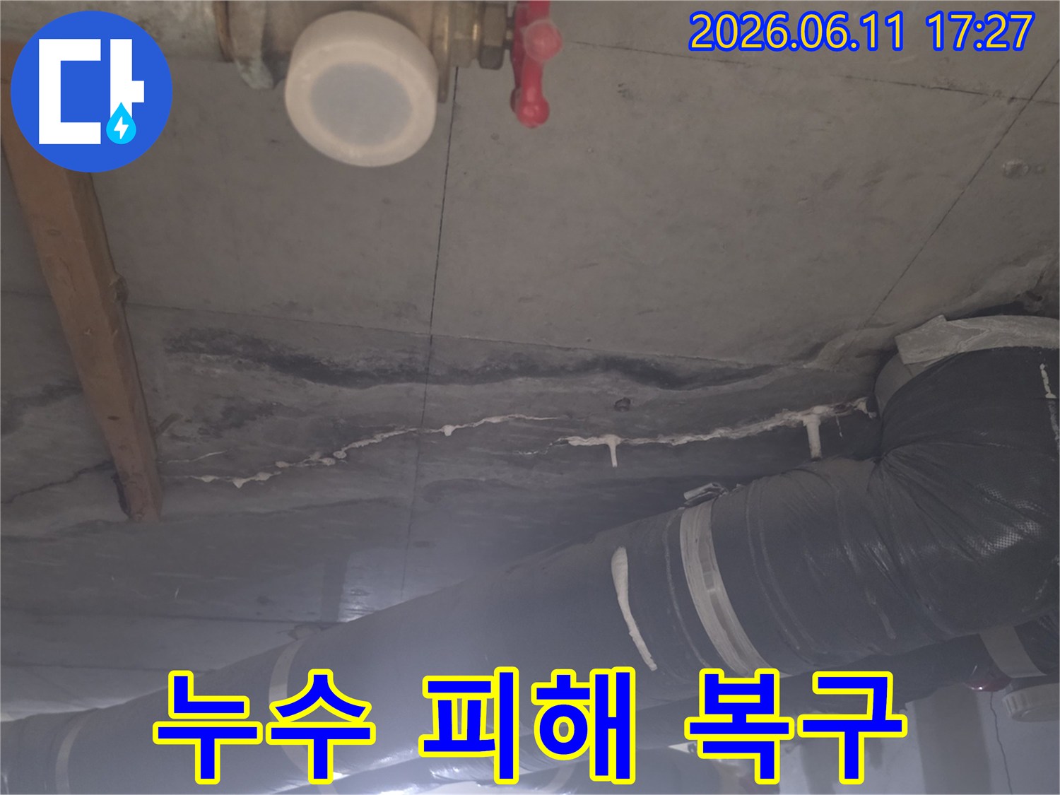 누수 탐지 현장에서 천장 콘크리트의 백화 현상과 배관 주변의 습기를 포착한 이미지입니다