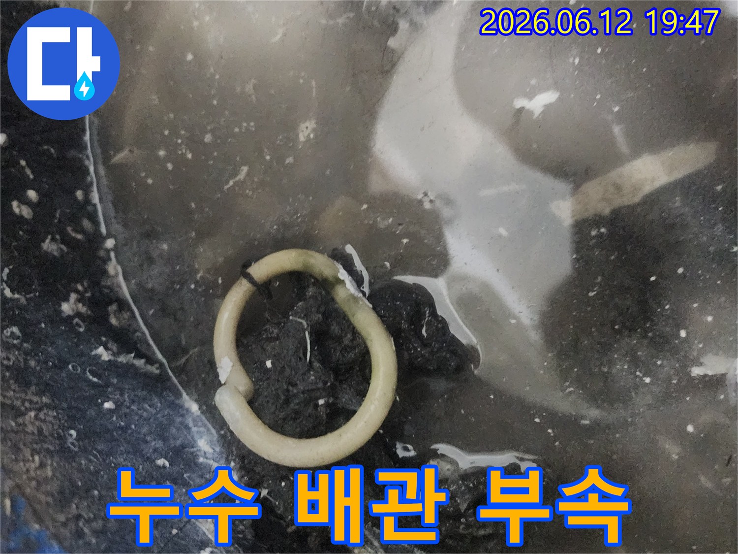 누수 현장에서 발견된-손상된 배관 부속-물이 고여있는 모습