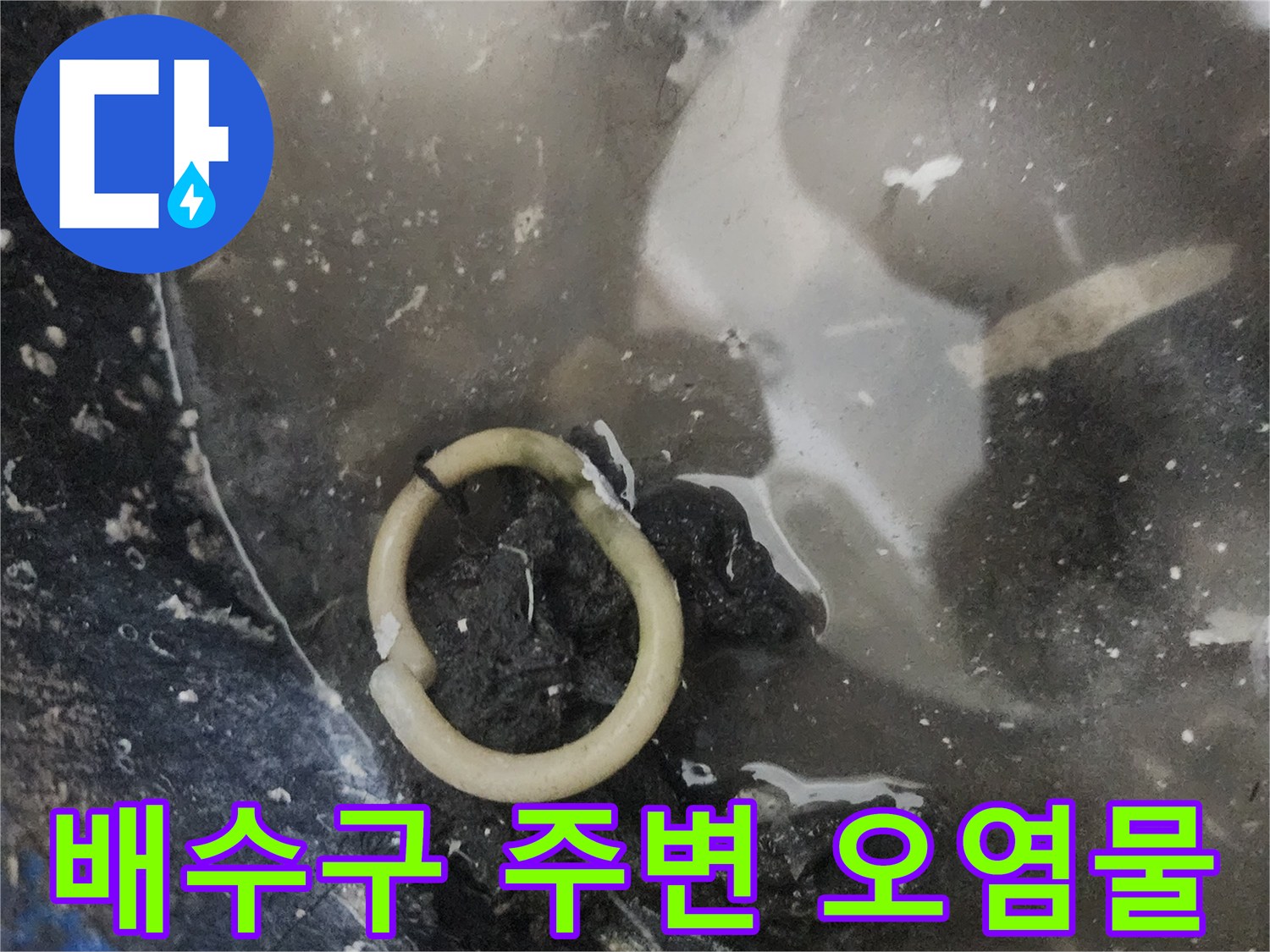 유가 주변의 찌꺼기와 탁한 물 상태를 촬영한 사진