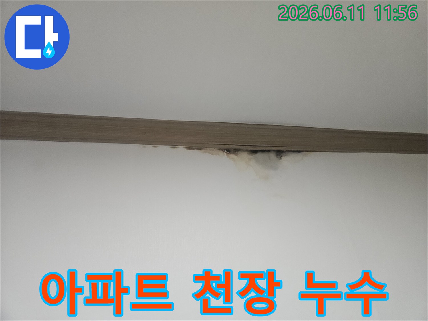 아파트 천장 몰딩 아래-누수로 인한 물자국과-곰팡이가 발생한 모습
