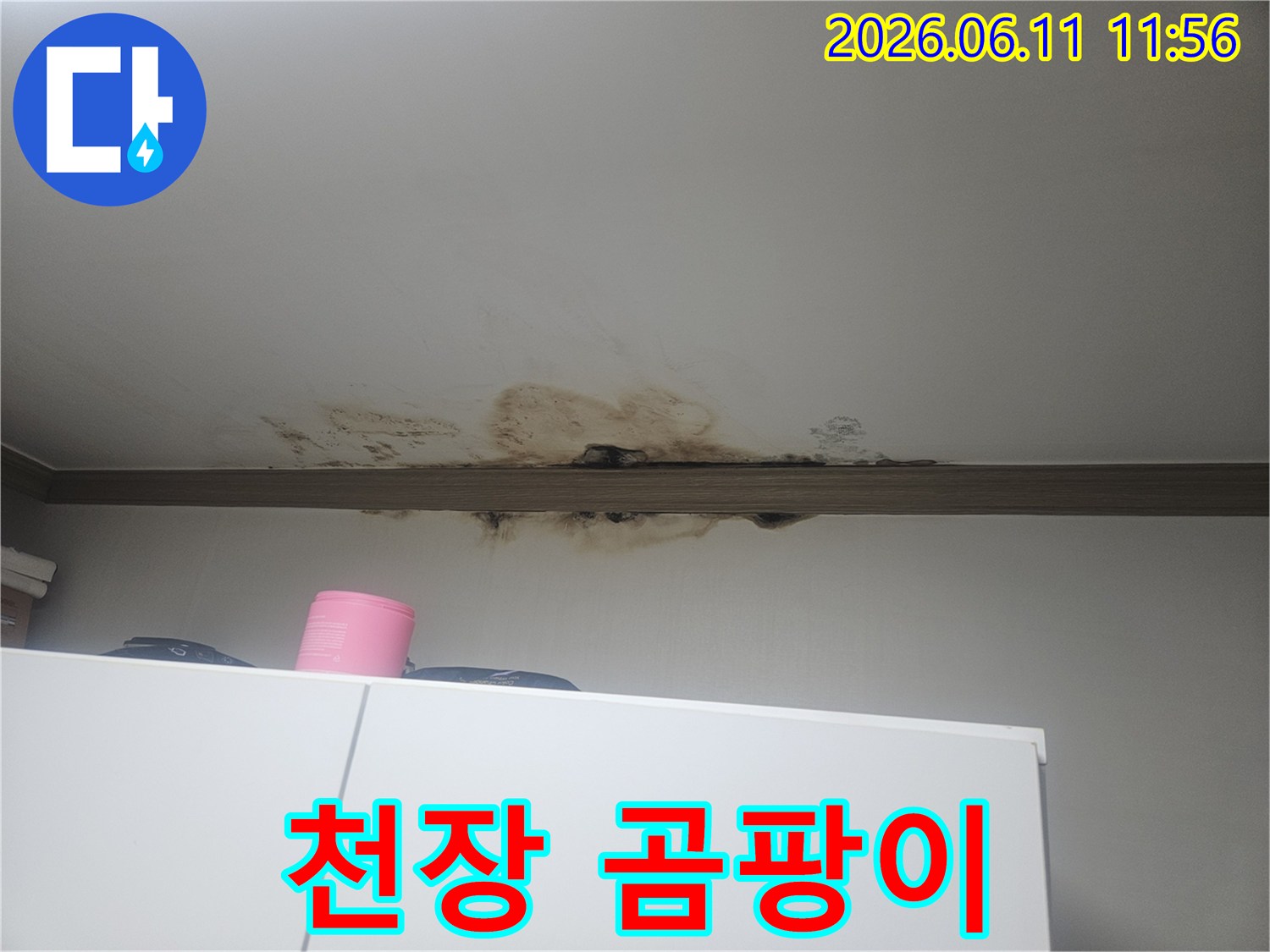 천장에서 물이 새어-곰팡이가 심하게 번진-건강에 해로운 누수 현장