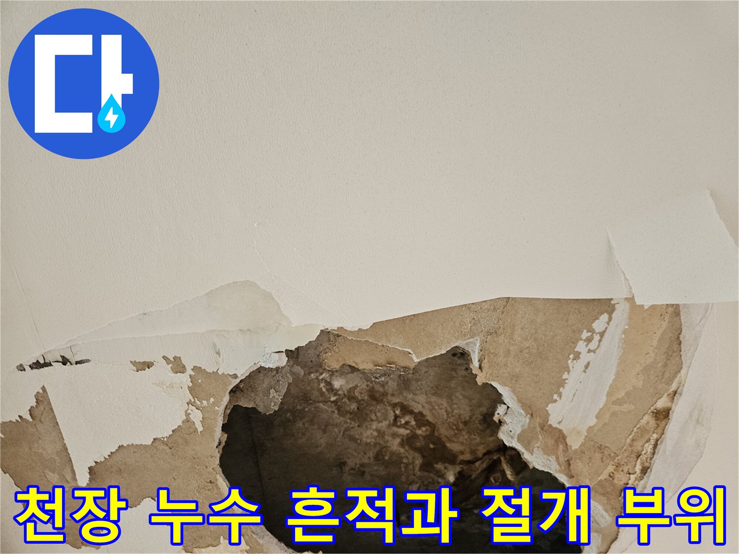 동작구 현장-훼손된 천장 마감재와 내부 누수 흔적