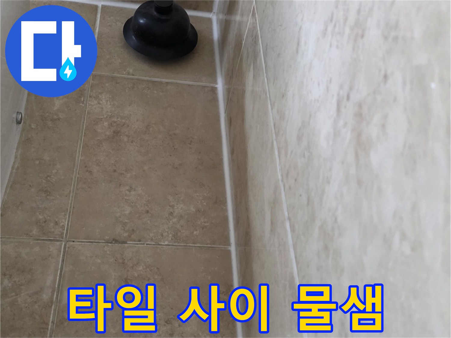 주택 화장실 타일 사이로 물이 스며드는 것을 보여주는 현장 사진-누수 전문가의 면밀한 조사가 진행되었습니다