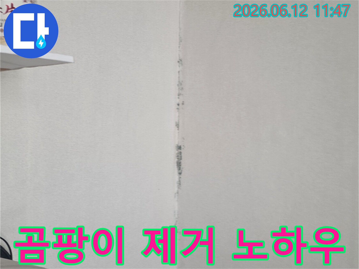 천장 모서리에 검은 곰팡이가 길게 번져 있어-누수 해결 후 전문적인 곰팡이 제거 노하우가 필요함을 보여줍니다.