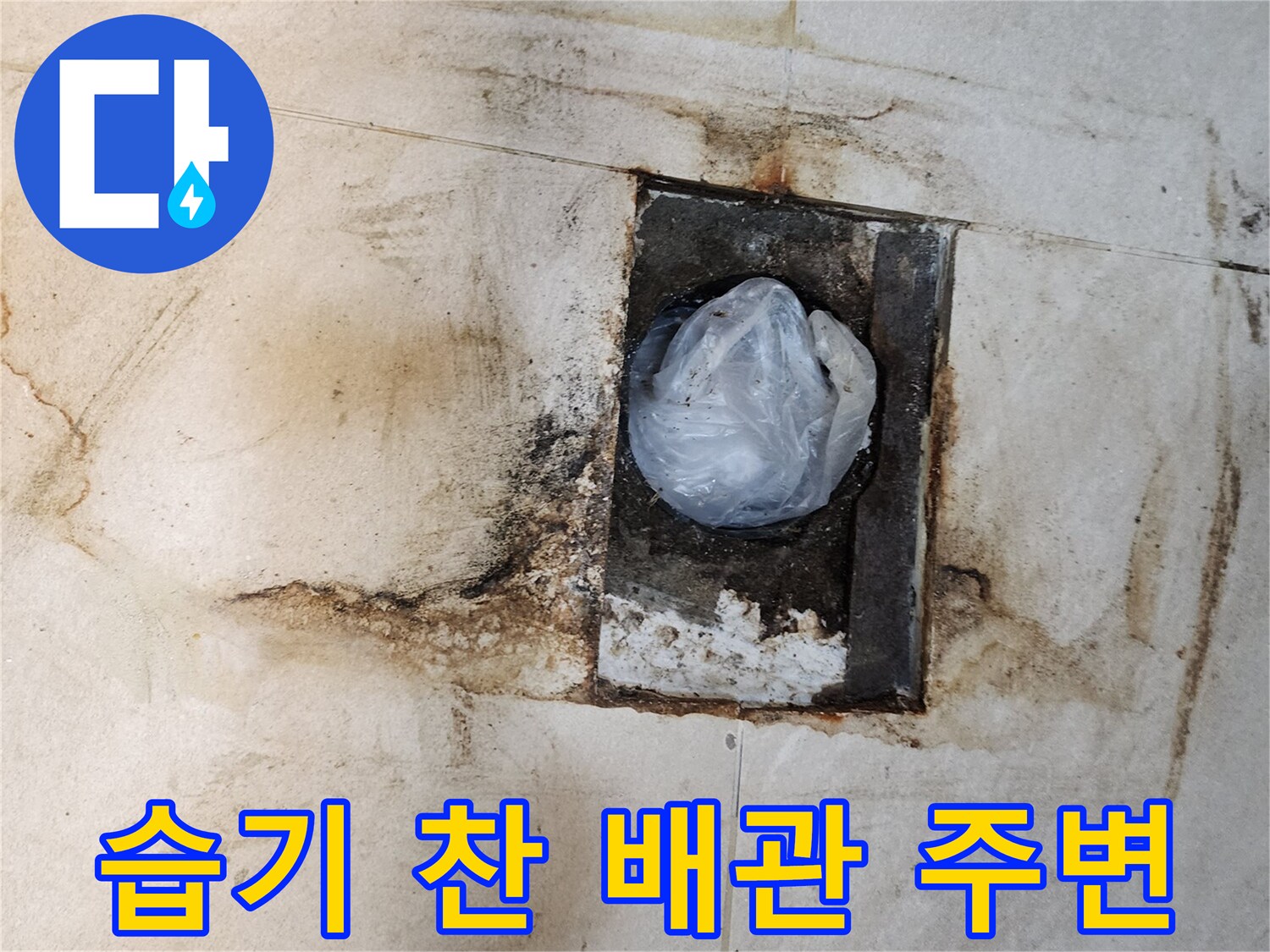변기 탈거 후 드러난 습기가 가득한 배관 입구 부위