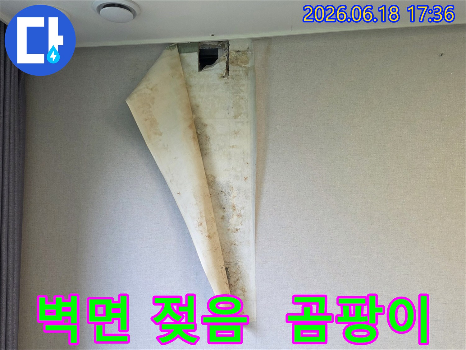누수로 인해 벽면이 젖고-벽지가 들뜨며-곰팡이가 심하게 번식한 현장