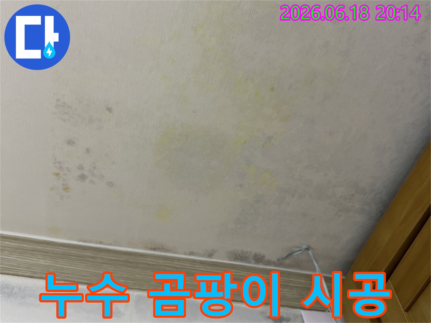 누수로 인해 벽지가 젖고-곰팡이가 심하게 번식한-아파트 내부 벽면