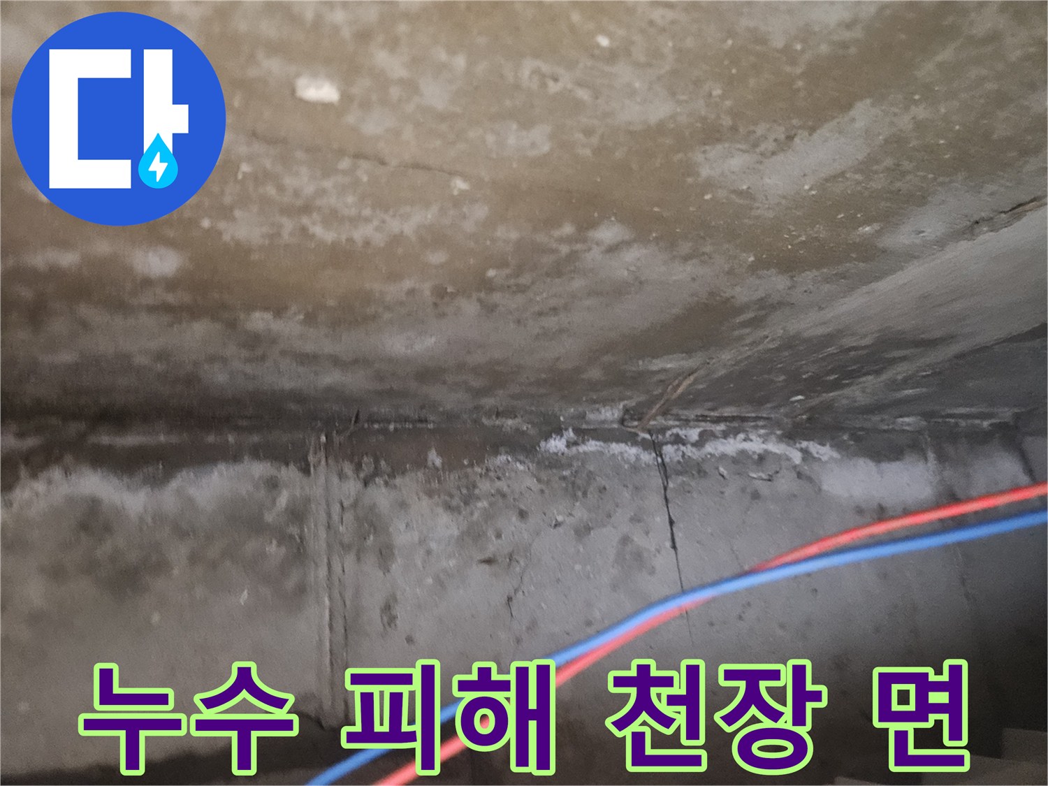 물샘으로 인한 천장 마감재의 변색과 습기 침투 흔적