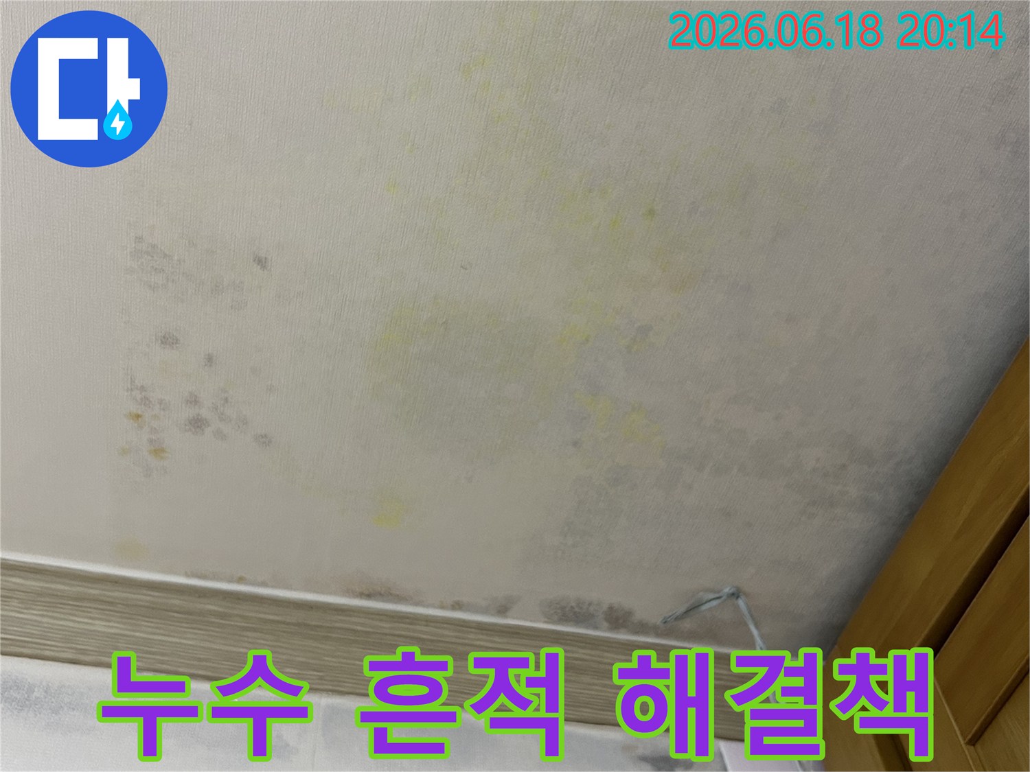 벽지 곳곳에 나타난-누수로 인한-얼룩과 곰팡이의 확산 모습