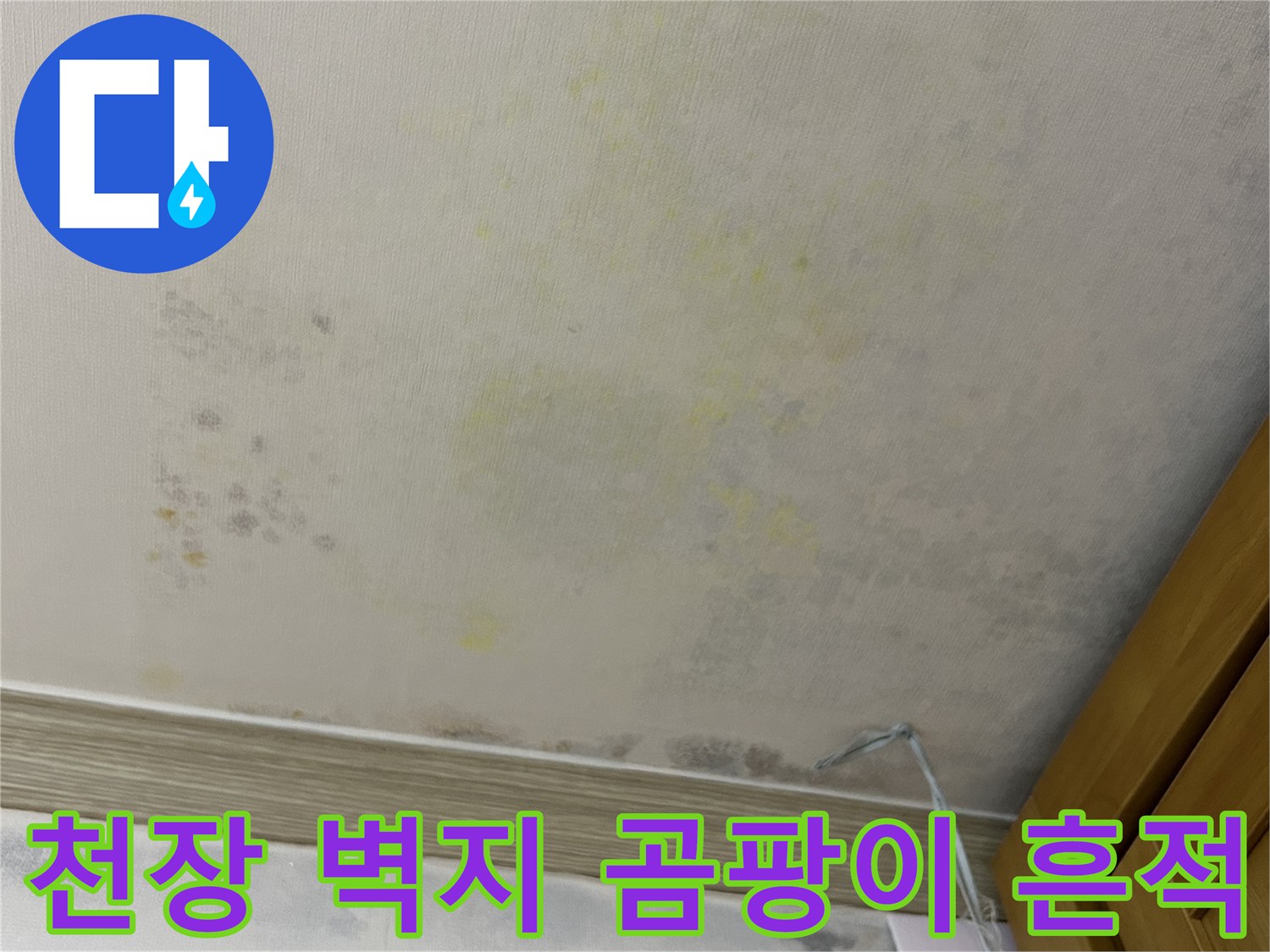 연수구 아파트 안방 천장에 발생한 누수 변색 및 곰팡이 부위