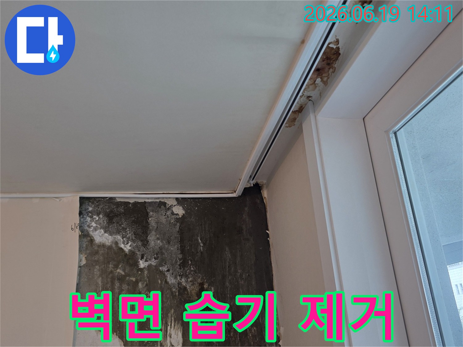 아파트-벽면에서-발견된-심각한-습기와-곰팡이-오염-현상-누수로-인한-피해-사진