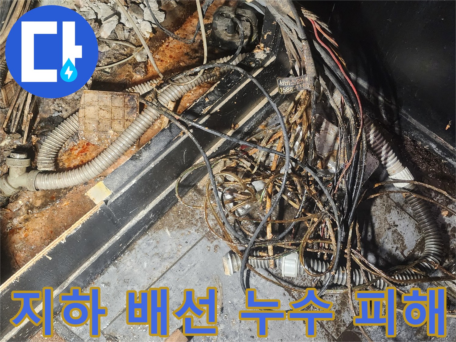 누수-피해로-젖고-부식된-전선과-배관이-엉켜있는-지하-공간의-모습-심각한-물-손상이-확인됩니다