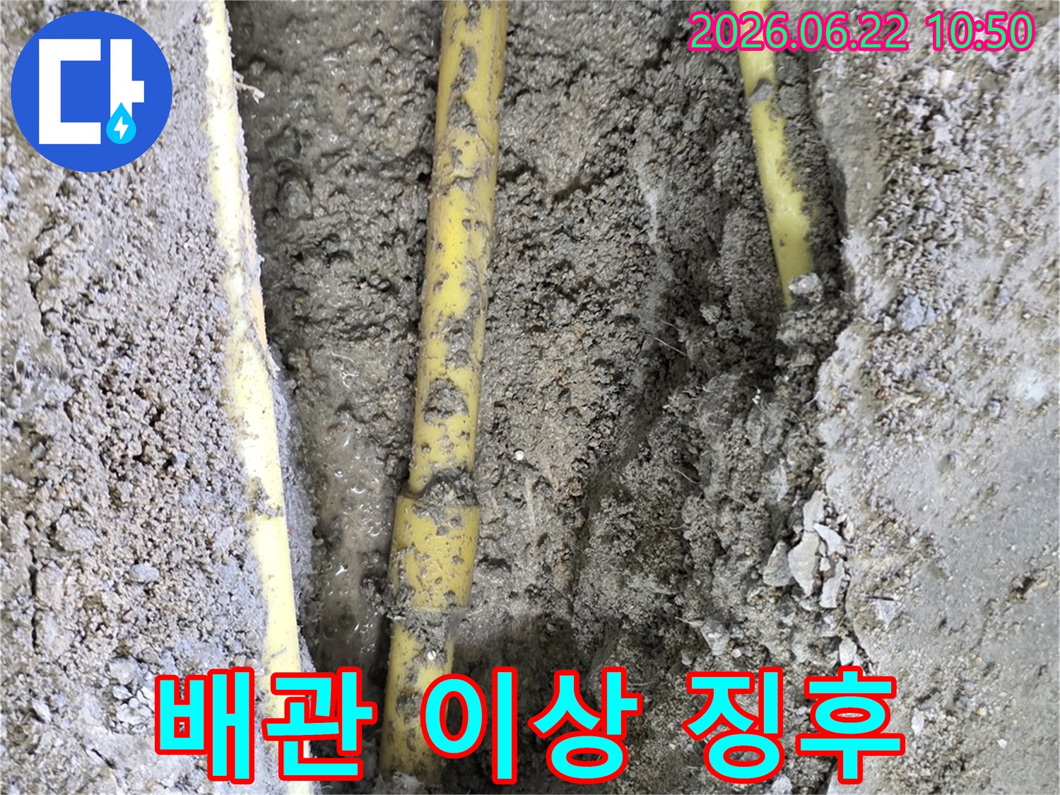 누수 발생 지점을 찾기 위해 땅을 파내어 드러난 배관의 상태를 면밀히 관찰하는 작업
