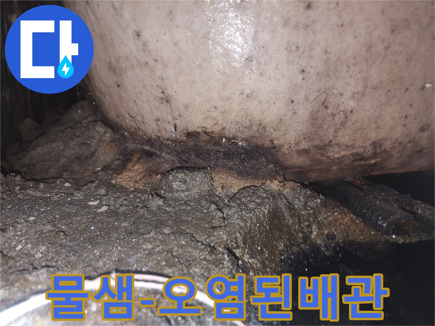 누수로 인해 배관 하부의 시멘트가 부식되고 곰팡이가 번식한 모습