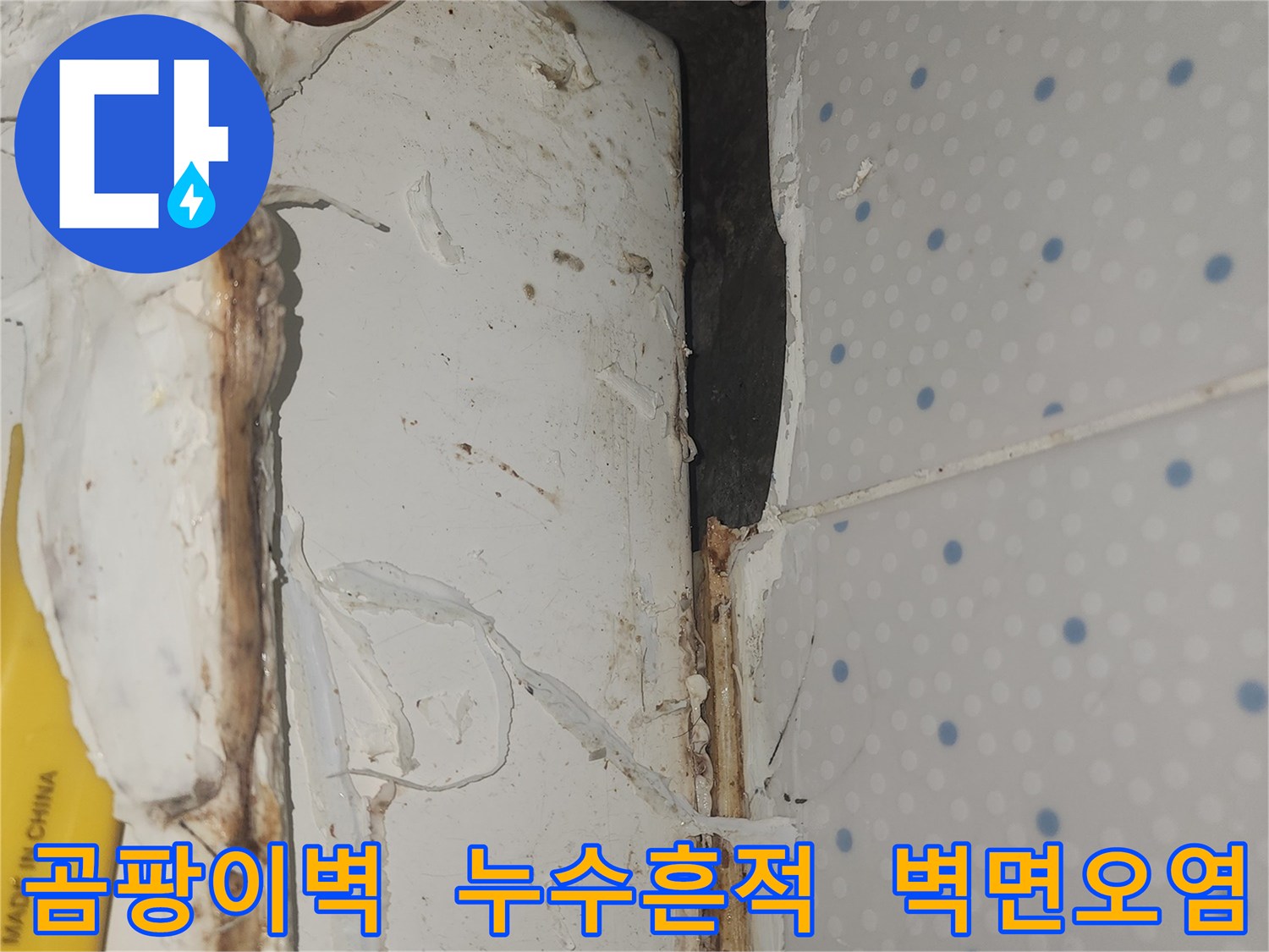 누수로-인해-벽면과-천장-경계에-광범위하게-번식한-곰팡이-모습
