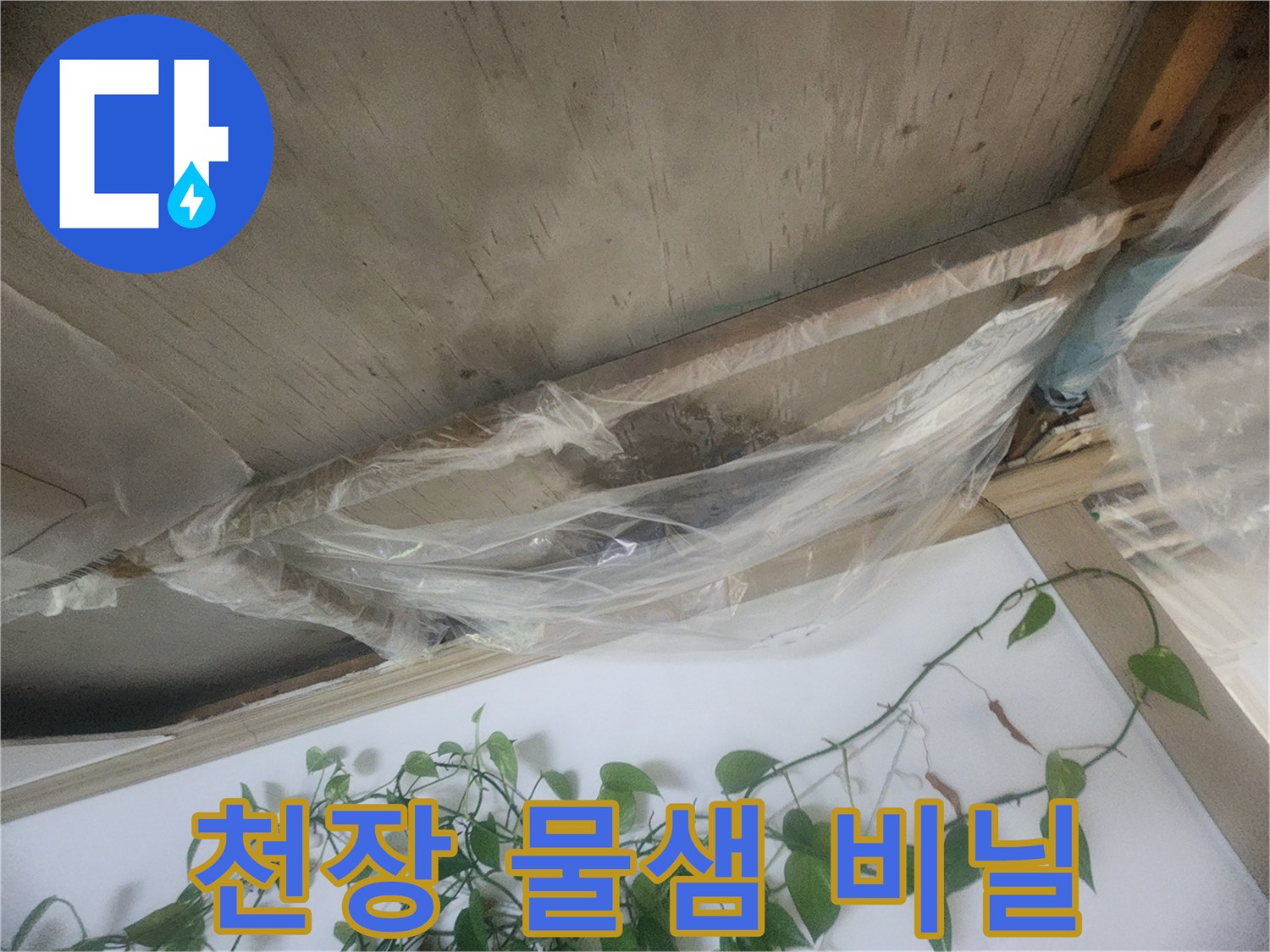 누수로 인해 천장에서 물이 떨어지는 상황을 임시로 막기 위해-비닐로 보양한 모습
