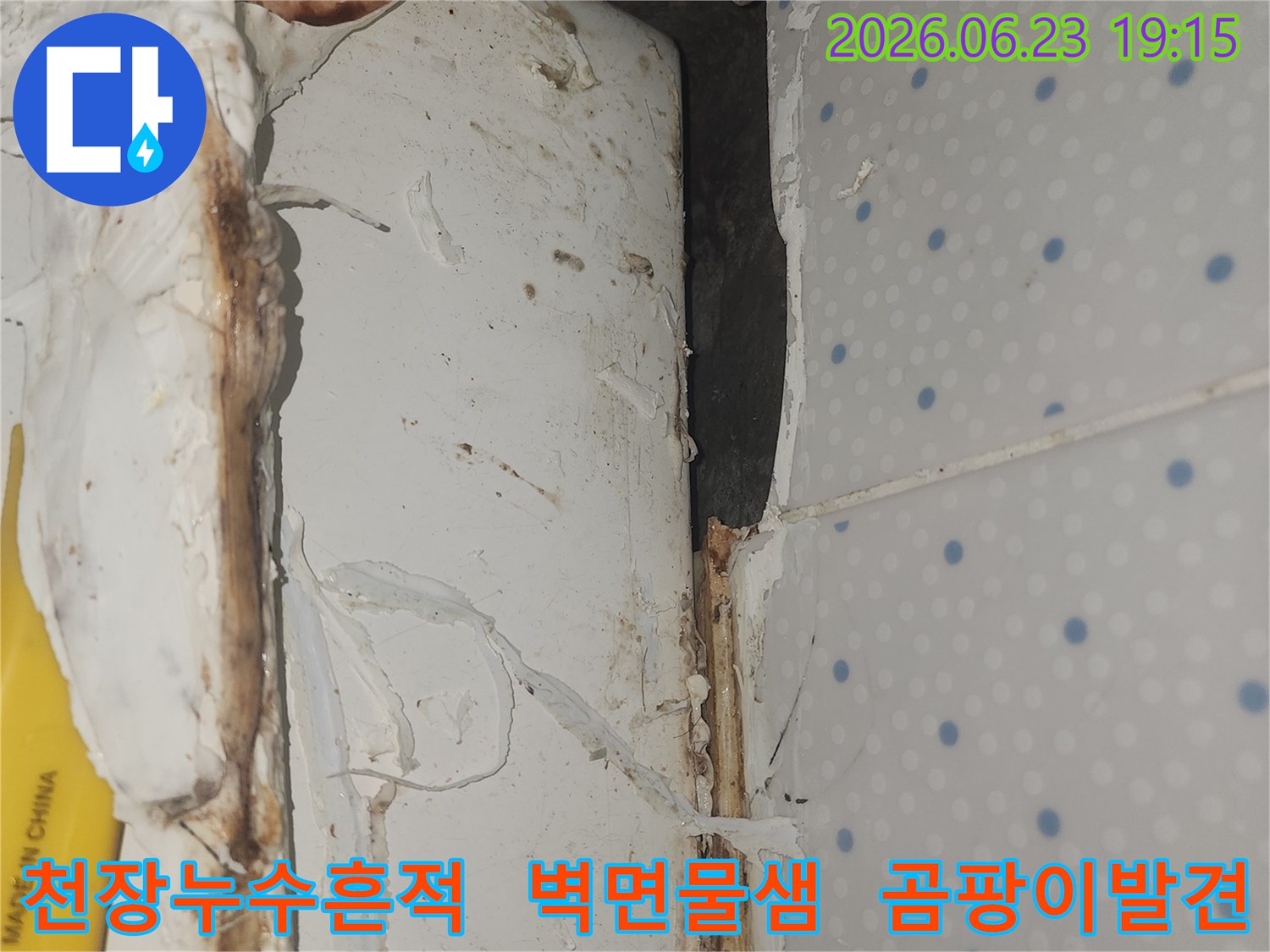 천장과-벽면-경계에서-발견된-오래된-누수-흔적과-곰팡이-오염-현상