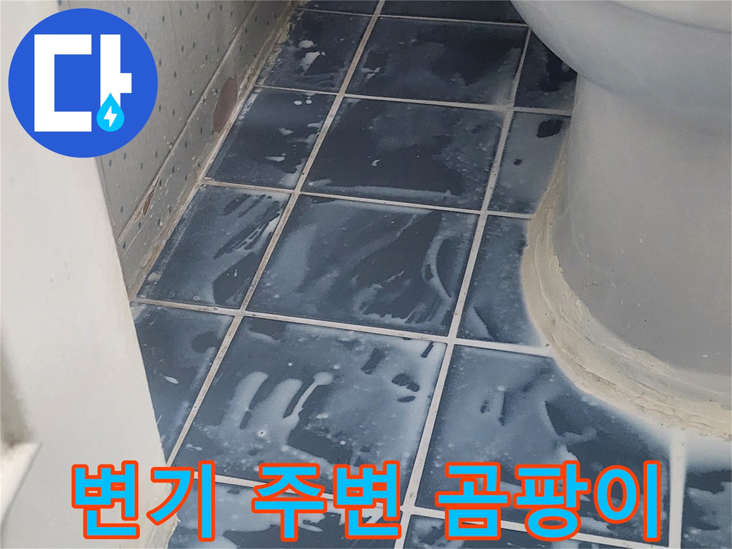 화장실 변기 하단부 타일 주변의 곰팡이-누수로 인한 습기