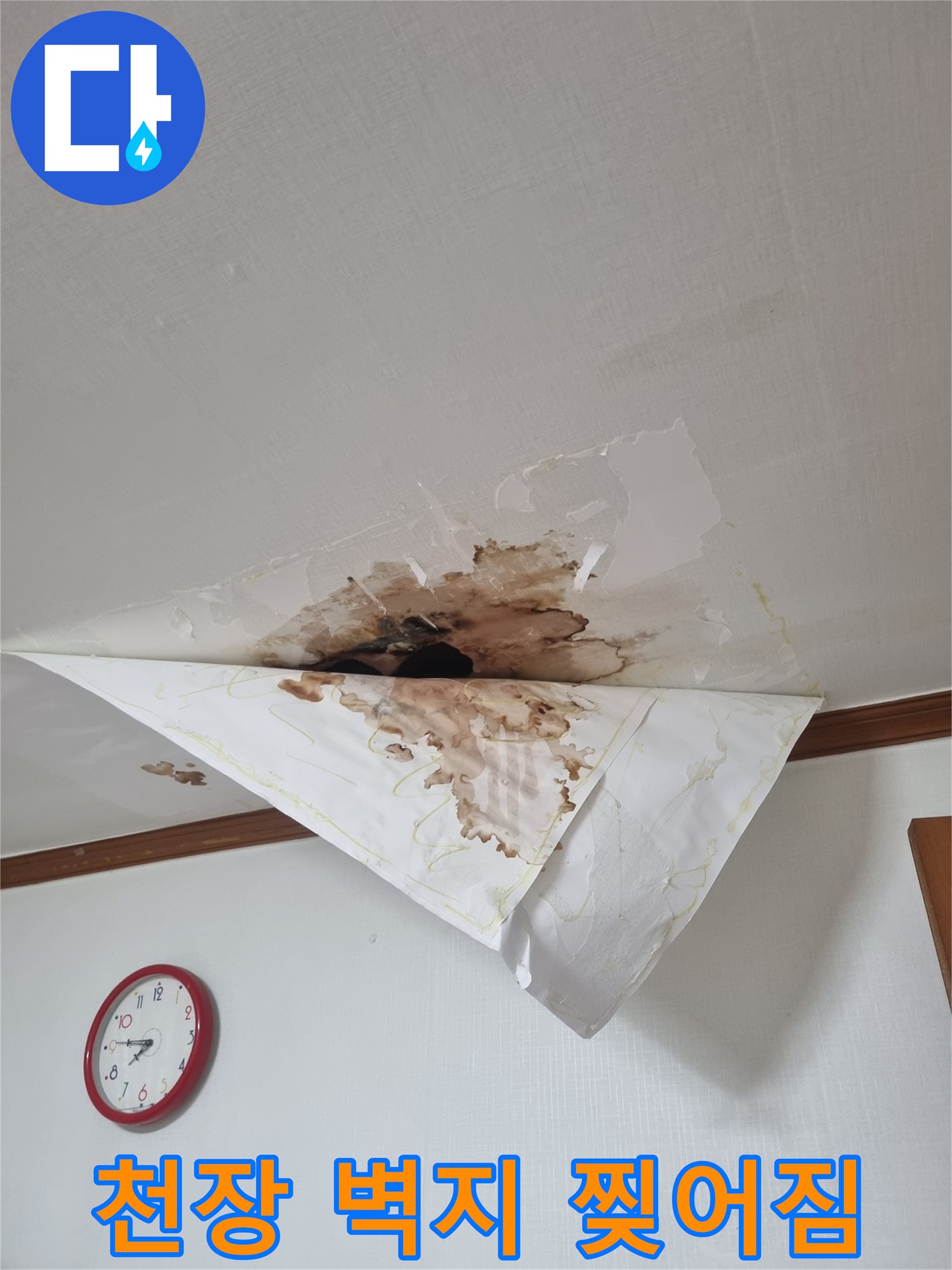 물에 젖어 찢겨 나간 천장 벽지 모습