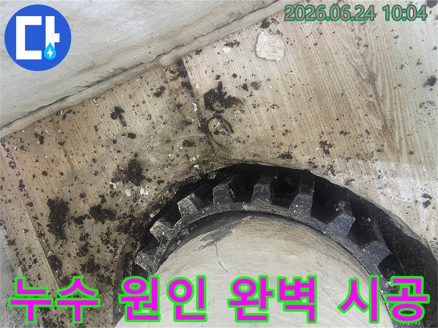오래된 배관 주변에-물이 새어-검은 곰팡이와-물때가 심하게-생긴 모습을-보여주는 누수 현장