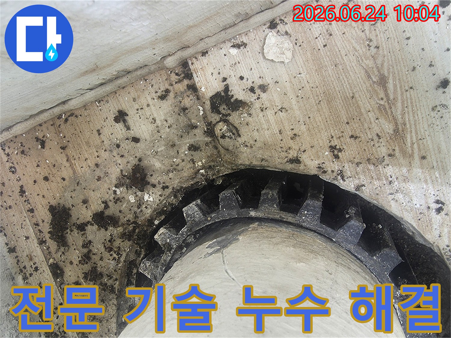 오래된 배관 주변에-물이 새어-검은 곰팡이와-물때가 심하게-생긴 모습을-보여주는 누수 현장