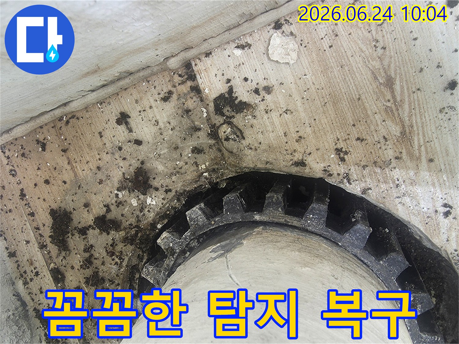 오래된 배관 주변에-물이 새어-검은 곰팡이와-물때가 심하게-생긴 모습을-보여주는 누수 현장