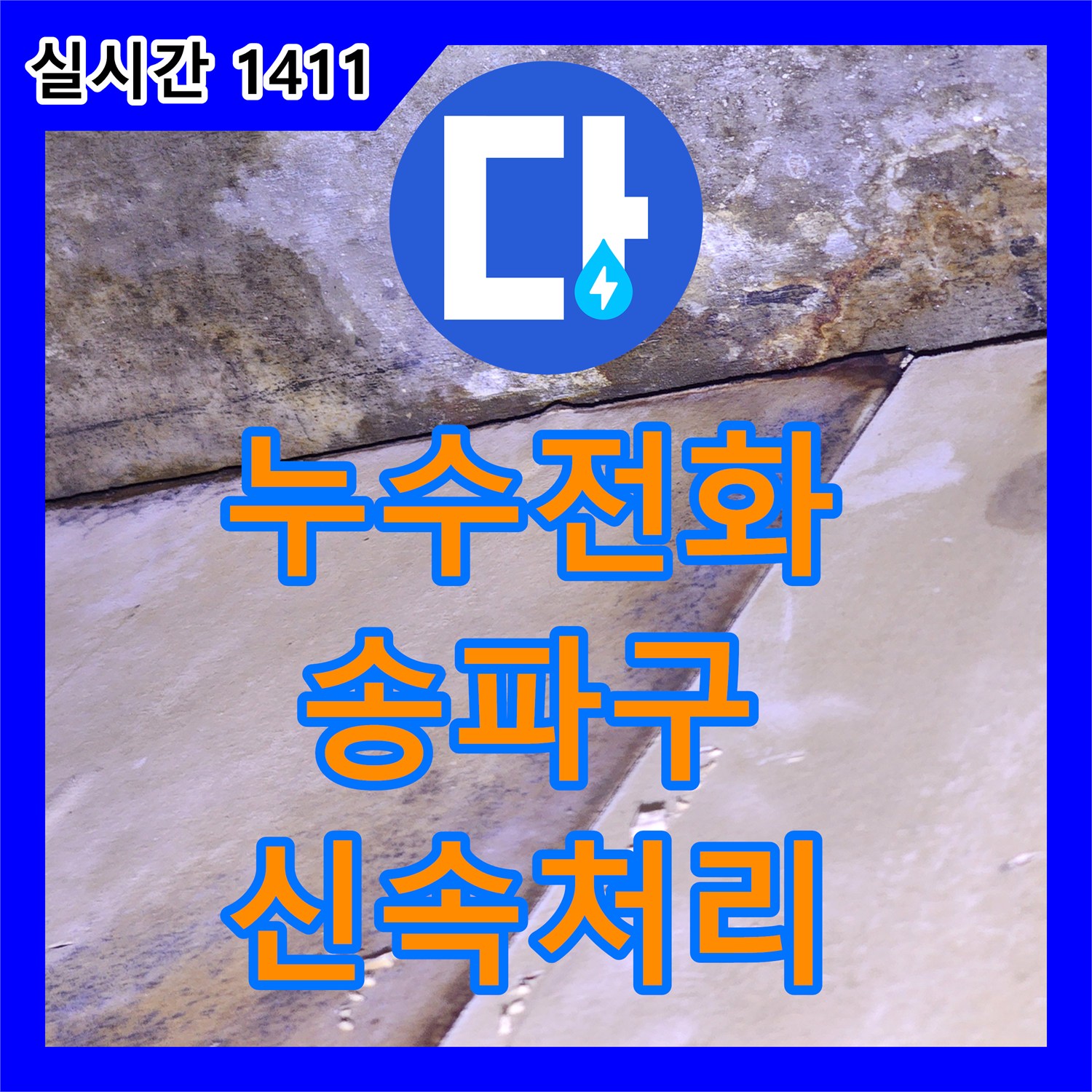 누수전화 - 천장 마감재 곰팡이와 광범위한 얼룩, 위층 배관 문제 정밀 탐지 후 방수 시공 - 서울 송파구