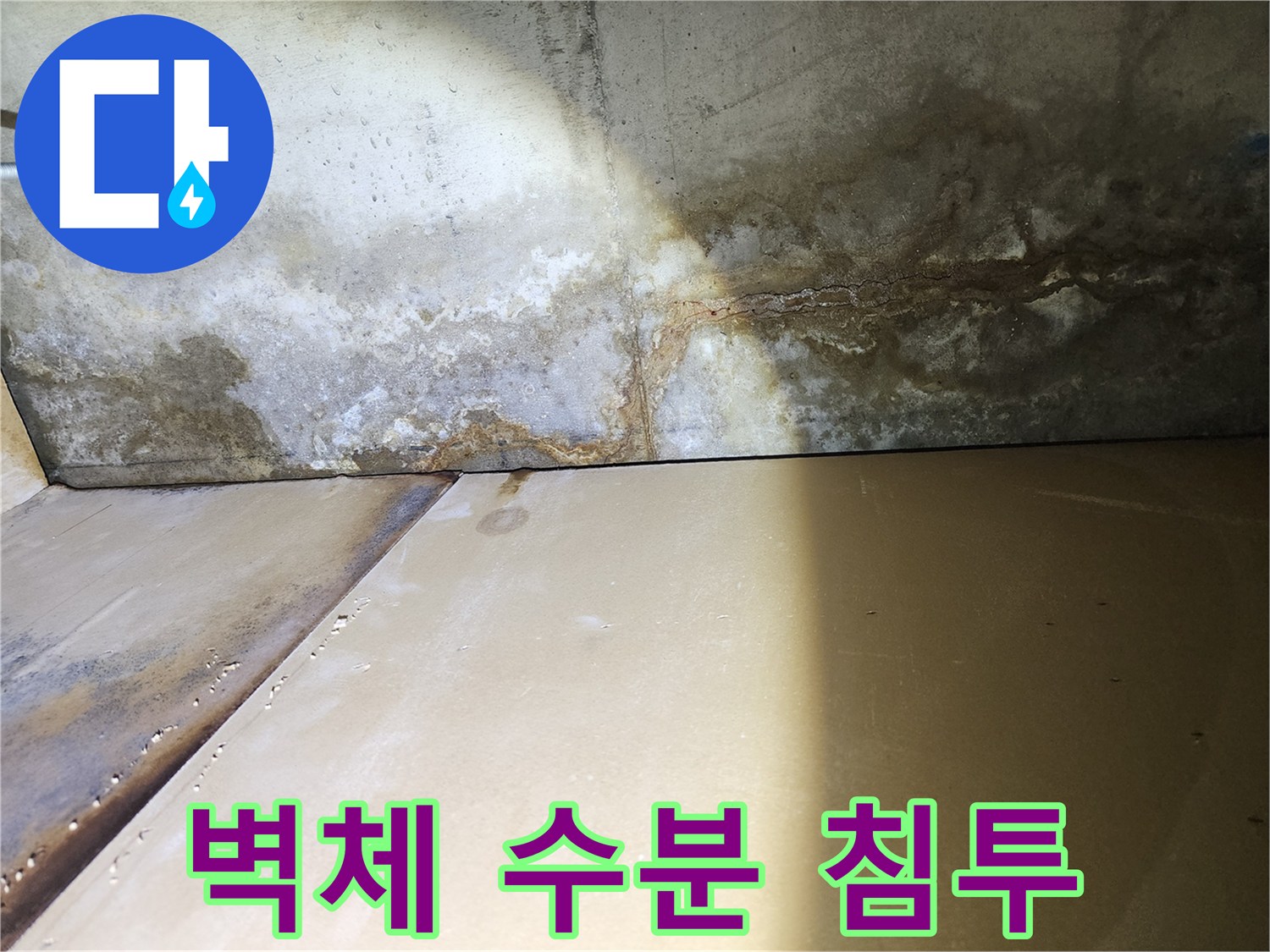 벽면 하단부의 젖은 흔적과 얼룩진 콘크리트 구조물