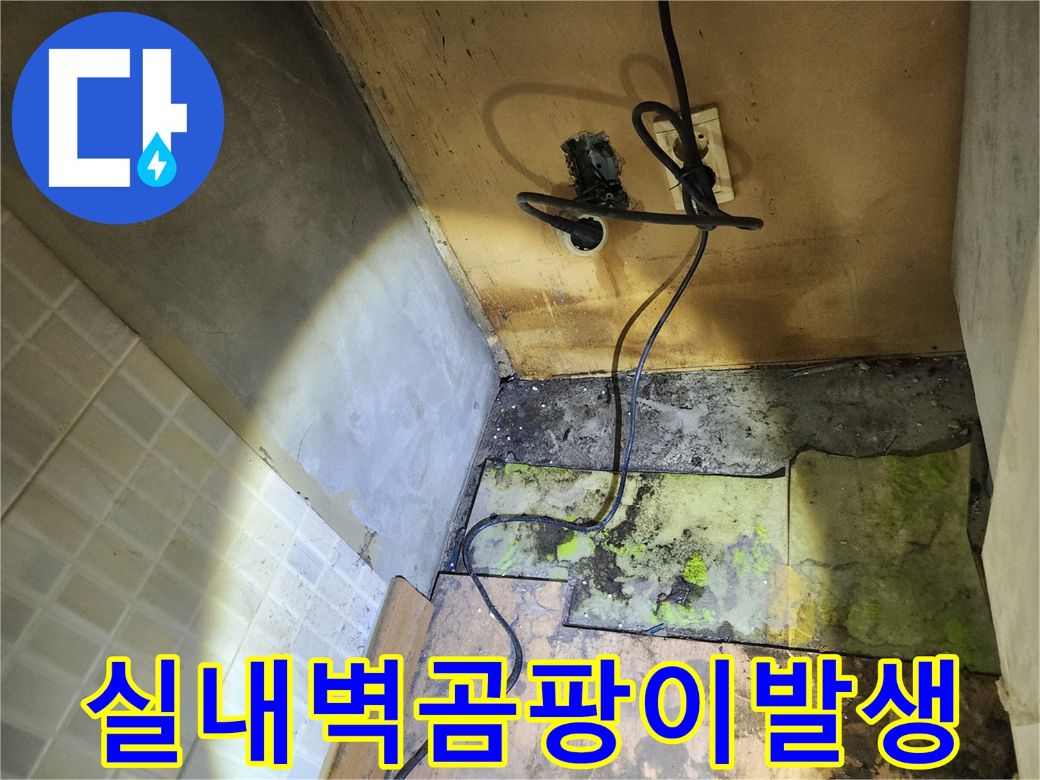 송파구 현장-습기로 인한 벽면 곰팡이 분포