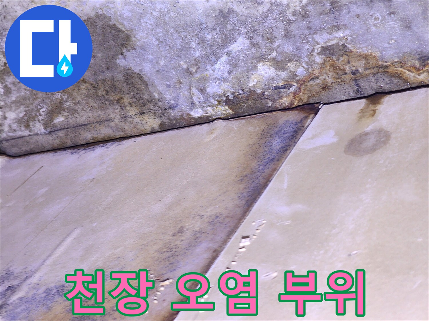 습기로 인해 얼룩진-콘크리트 벽면과 천장 경계선